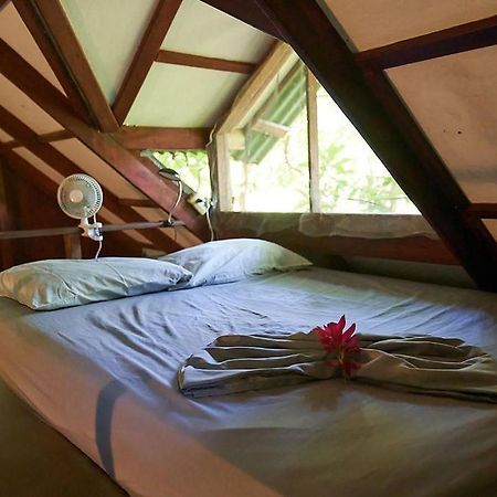 Luz En El Cielo Eco-B&B/Hostel Монтесума Екстер'єр фото